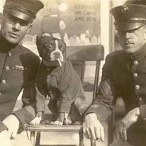 Meet your Posher, Solomon